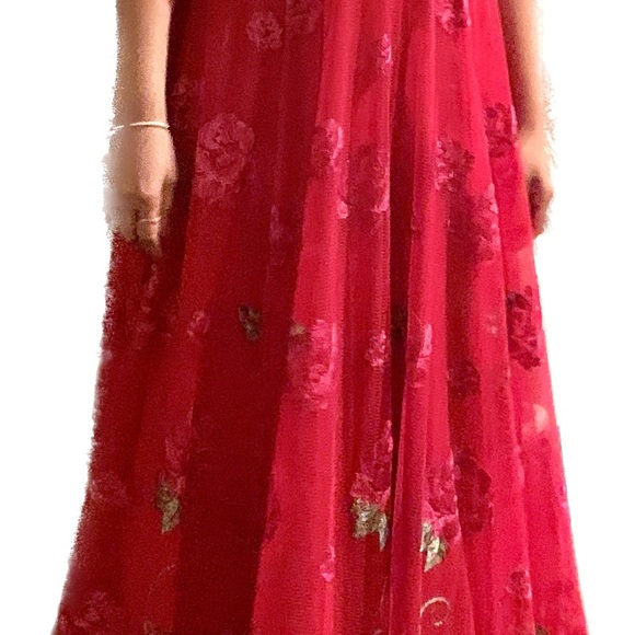 Red hot special occasion beauty - Picture 2 of 15